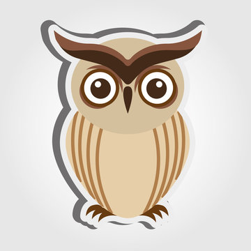 owl bird design 
