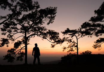 Fototapeta na wymiar Silhouette of man standing under pine tree with sunset view. Phu
