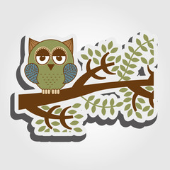 owl bird design 