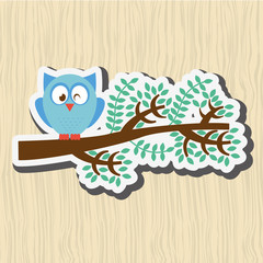 Fototapeta premium owl bird design 
