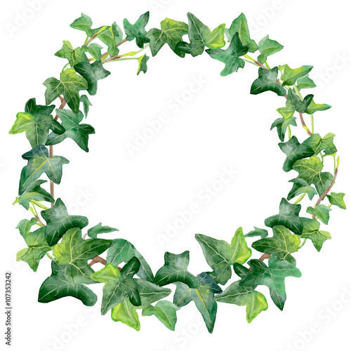 "Watercolor drawing of green ivy wreath isolated on white 