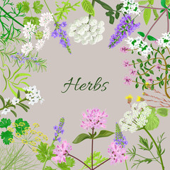 Obraz na płótnie Canvas Vector card with herbal flowers.