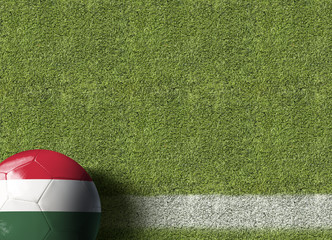 Hungary Ball in a Soccer Field