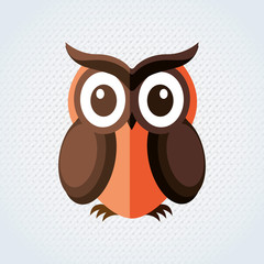 owl bird design 