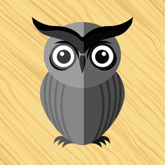 owl bird design 