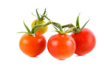 Tomatoes on white background