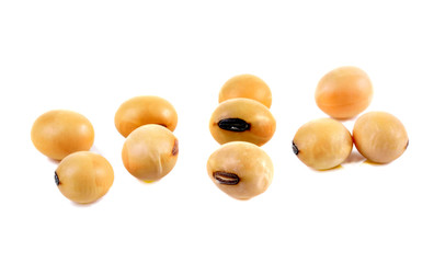 Soy beans on white background
