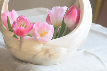 Obraz na płótnie Canvas pink tulip flowers