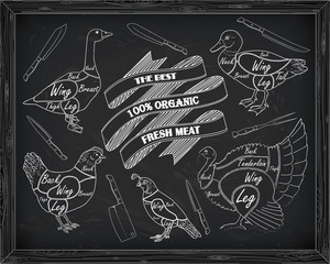 beautiful scheme cutting chicken turkey duck goose quail