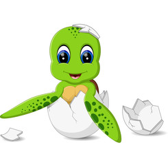 illustration of Cute turtle caroon