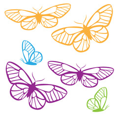 Butterfly icon set