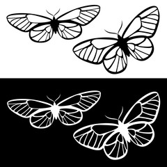 Butterfly icon set