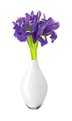 beautiful dark purple iris flowers bouquet isolated on white bac
