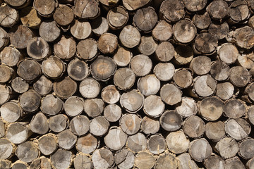 Cross section of the timber, firewood stack for the background