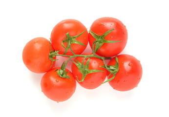 branch of ripe tomatoes on a white background