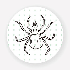 spider doodle