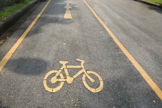 Bike lane on the side of road in the park