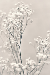 gałązka małych białych kwiatów w stylu japońskim - 107365263