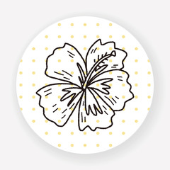 Chinese hibiscus doodle