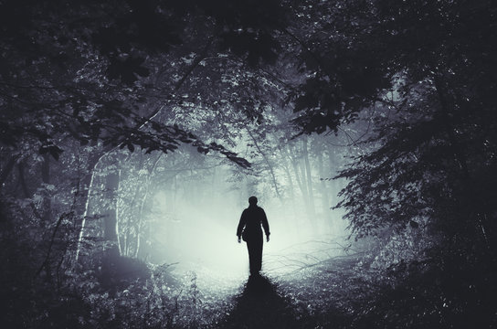 Fototapeta surreal light in dark forest and man silhouette