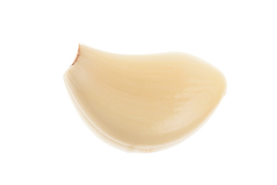 Single clove of garlic . Isolated on white background. Close-up