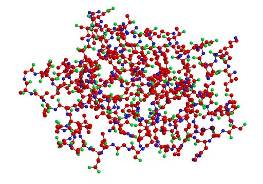 Molecular Structure Of Hormone Leptin