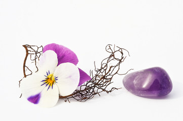 Wunderschöner Amethyst mit Blüte und feinem Zweig auf hellem Hintergrund Meditation und Gesundheit