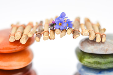 Kleiner Holzsteg zwischen Heilsteinen mit Blume im Fokus Schärfe Unschärfe Effekt