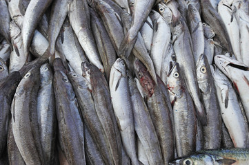 Obraz premium Fish for sale on a market stall