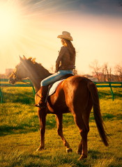 Back woman sitting  horse. Sunset.