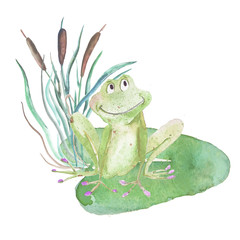 Frog. Watercolor isolated object. - 107370237