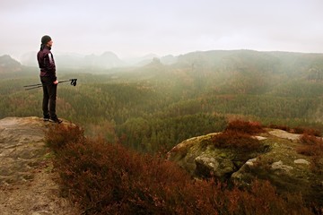 Obraz premium Man hiker in dark sportswear and poles stand on mountain peak rock. Red heather bushes