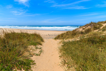 Fototapeta na wymiar Path in grass to sandy Castelejo beach, Algarve region, Portugal