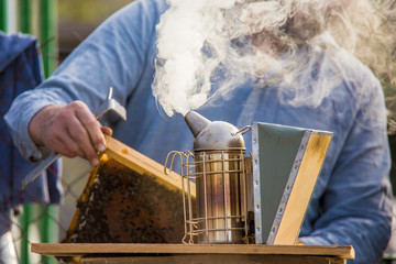 Using smoker means calm bees