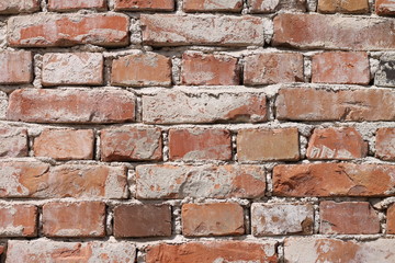 Fototapeta premium Red brick wall background
