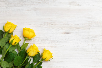 Five buds of yellow roses