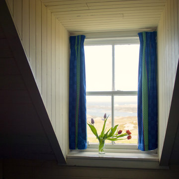 Tulips in the window of an old croft house, Isle of Colonsay, Scotland