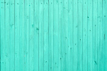 Old shabby wood texture background green 