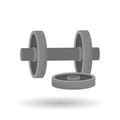 fitness and gym design, vector illustration