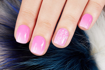 Nails with manicure covered with pink nail polish on fur background