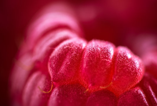 Fototapeta Raspberry closeup macro detail