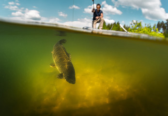 Carp fishing