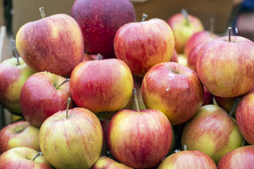 red and yellow apples background