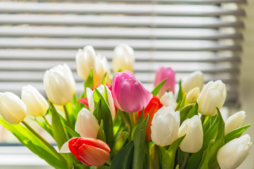 Colorful tulip flower bouquet in vase against window blind
