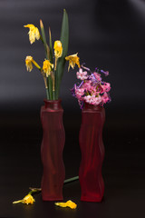 withered daffodils and hyacinths in a vase