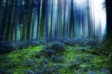 Blue magic fairytale forest with lights