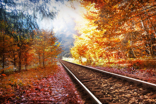 Fototapeta Railway in the autumn forest