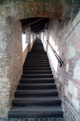 Fototapeta na wymiar Stairs to Castle Hill, Budapest