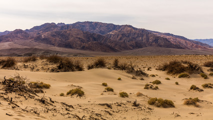 Fototapeta na wymiar Sand dunes are nearly surrounded by mountains on all sides. View of dry hot arid landscape of wilderness. Mesquite Flat Sand Dunes, Death Valley National Park, California