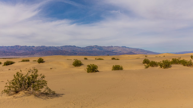 View of dry hot arid landscape of wilderness. Mesquite Flat Sand Dunes, Death Valley National Park, California